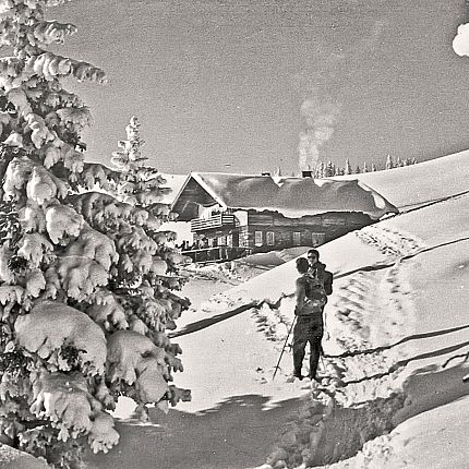 Möseralm Richtung Steinplatte