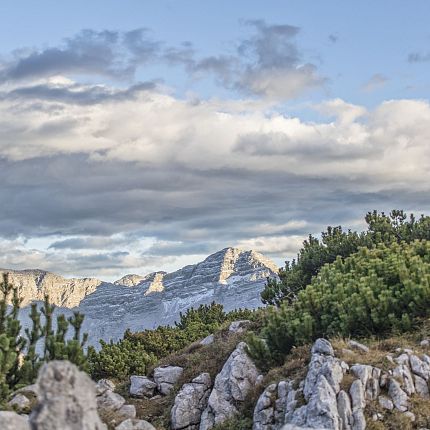 Einzigartiges Panorama Steinplatte Waidring Tirol