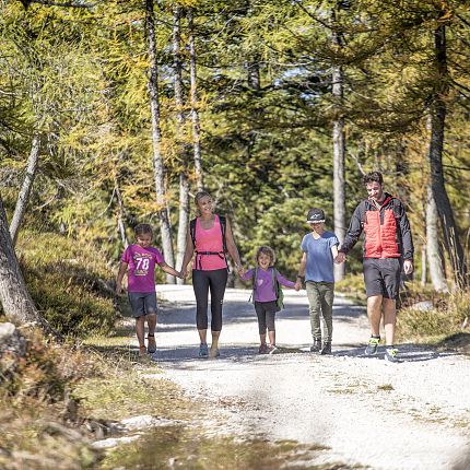 Erlebnisreiche Wanderung auf der Steinplatte in Tirol