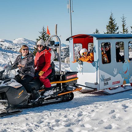 Kinderbetreuung-Triassic-Park-Winter-Steinplatte