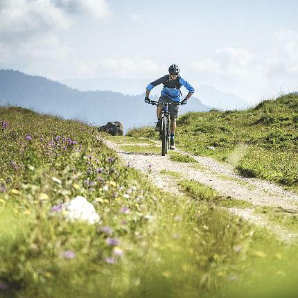 Mountain biking on the Steinplatte Waidring