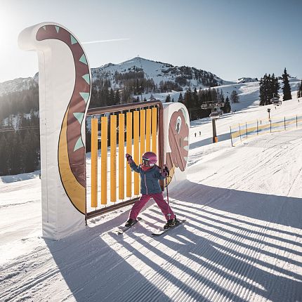 Snowpark Steinplatte (c) Freezing Motions by Klaus Listl (6)