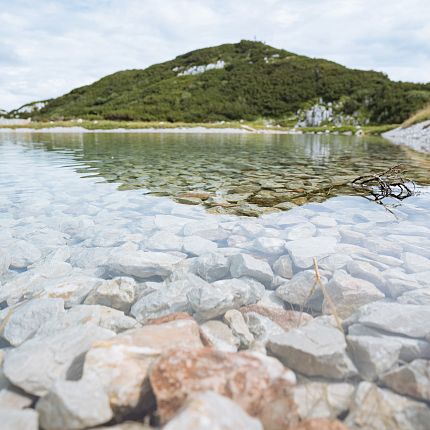 steinplatte_sommer_natur_nachhaltigkeit_