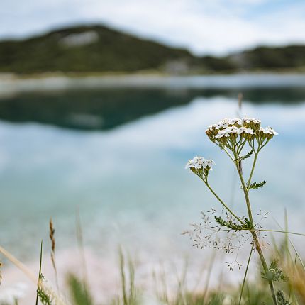 steinplatte_sommer_natur_nachhaltigkeit_